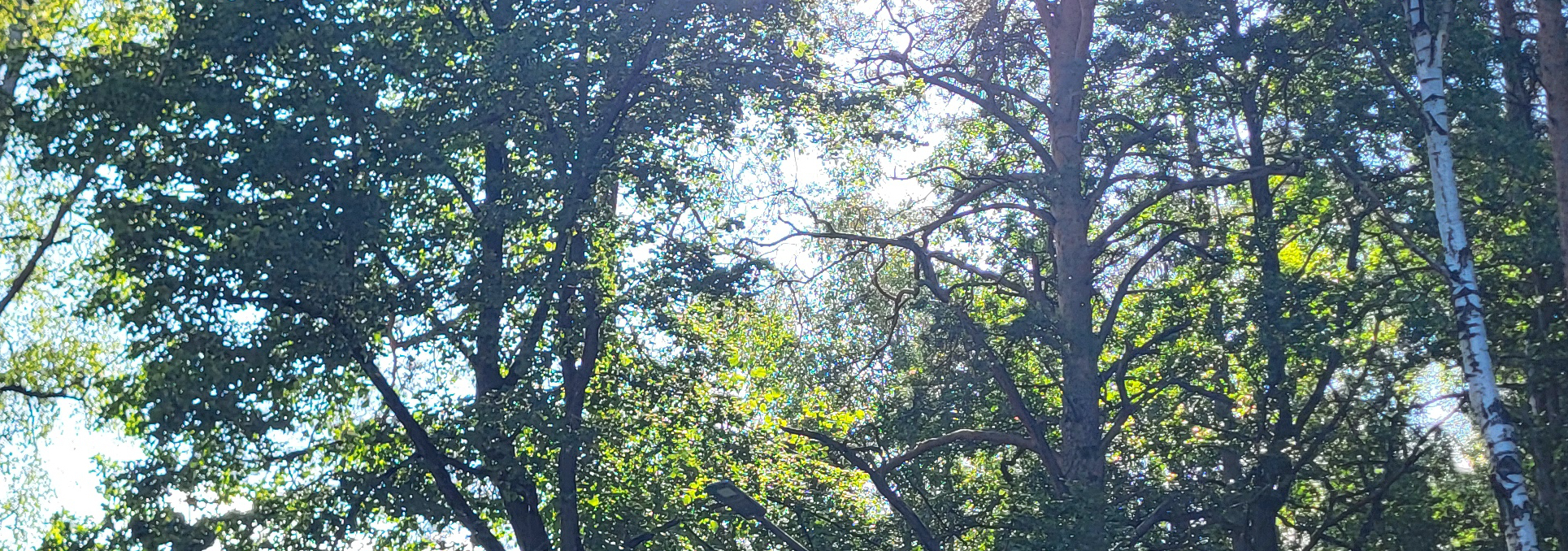 Die Wirtschaft muss brummen. Nicht der Kopf.